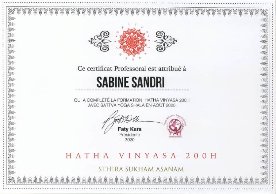 certification diplome hatha vinyasa yoga 2020 sthira sukham asanam
